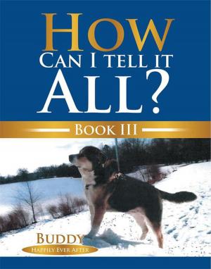 Cover of the book How Can I Tell It All? by G.L. Giles