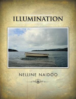 Cover of the book Illumination by Hamba Wanzola