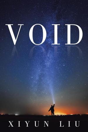 Cover of the book Void by Sheikh Elanayyal Abu Groon