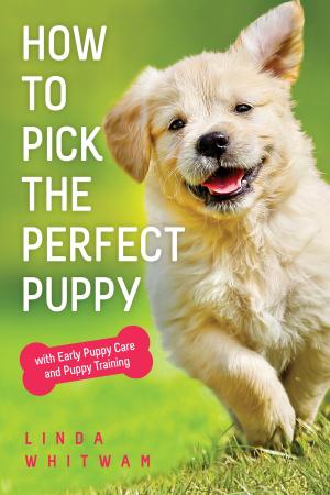 Cover of the book How to Pick the Perfect Puppy by Jacquelyn Elnor Johnson