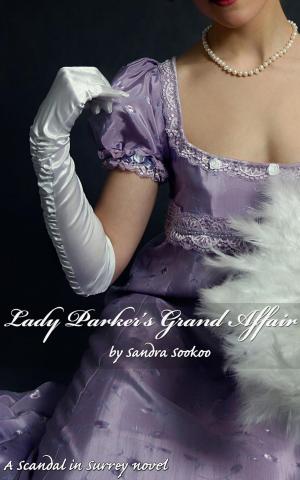 Cover of the book Lady Parker's Grand Affair by Mikail Ali