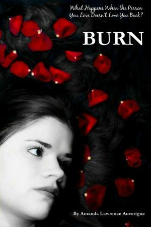 Cover of the book Burn by Amanda Lawrence Auverigne