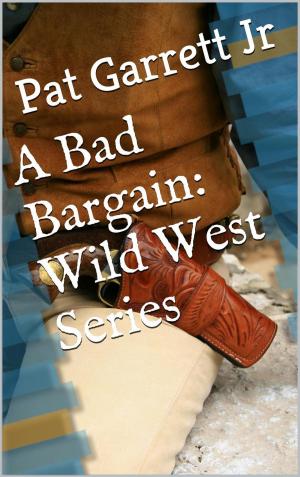 Book cover of A Bad Bargain