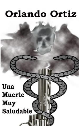 Cover of the book Una Muerte Muy Saludable by Dairl M. Johnson