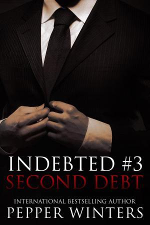 Cover of the book Second Debt by Kat Morrisey