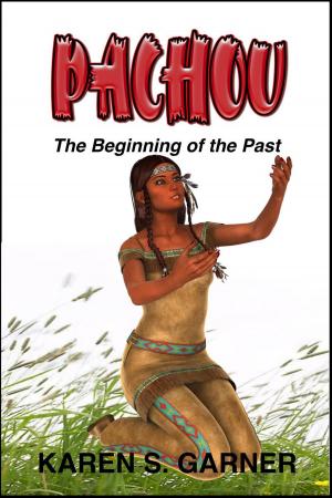 Book cover of PACHOU: The Beginning of the Past