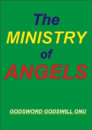 bigCover of the book The Ministry of Angels by 