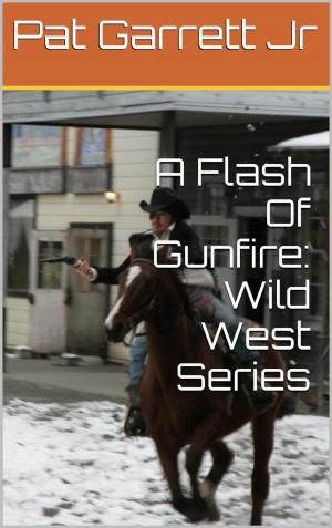 Cover of the book A Flash Of Gunfire: Wild West Story by Brian O'Sullivan