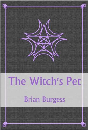 Cover of the book The Witch's Pet by T.C. Goodwin