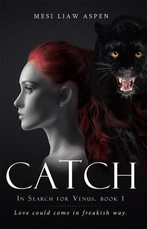 Cover of the book Catch by Evan Scarlett