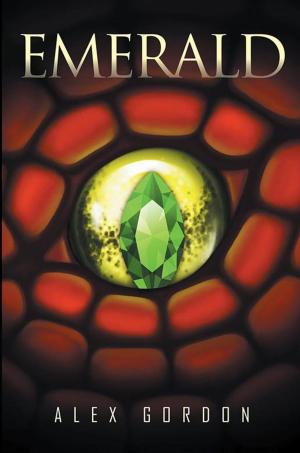 Cover of the book Emerald by Lizzie Rose