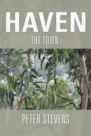 Cover of the book Haven by Pamela Yates