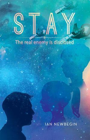 Cover of the book Stay by Drew Maywald
