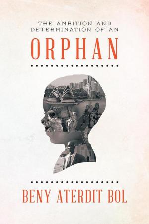 Cover of the book The Ambition and Determination of an Orphan by Shane Esmond