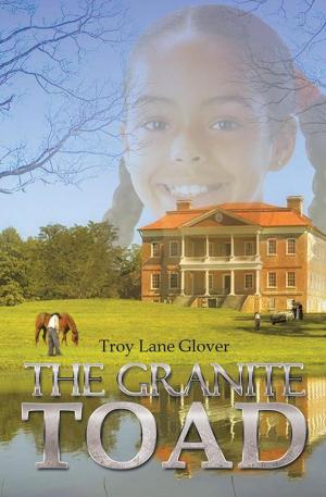 Cover of the book The Granite Toad by Kathleen Kalamarides