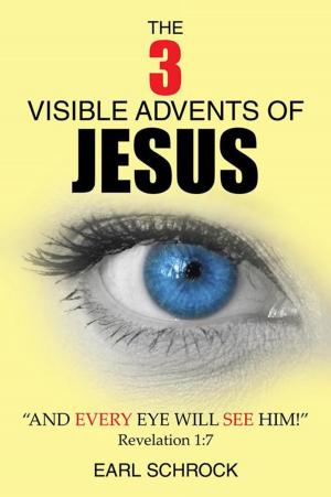 Cover of the book The 3 Visible Advents of Jesus by John Sparks