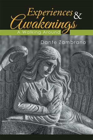 Cover of the book Experiences & Awakenings by Celestina Akbar