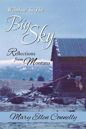 Cover of the book Window to the Big Sky by Jenny Kalsner
