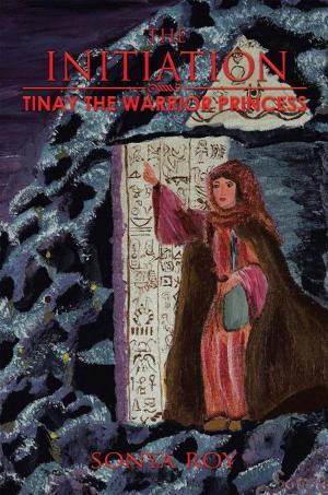 Cover of the book Tinay the Warrior Princess by Wayne Dornan PhD