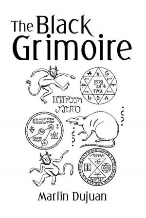 Cover of the book The Black Grimoire by Allen C. Bien