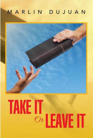 Cover of the book Take It or Leave It by Andrew P. Smith
