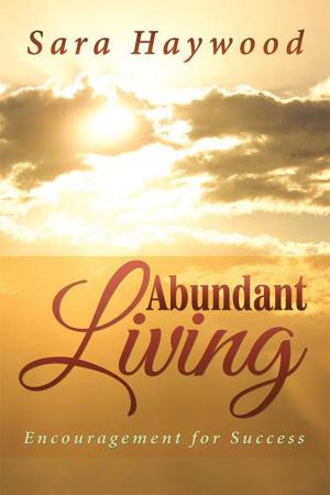 Cover of the book Abundant Living by John Olugbemiga Ademola Oni