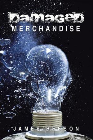 Book cover of Damaged Merchandise