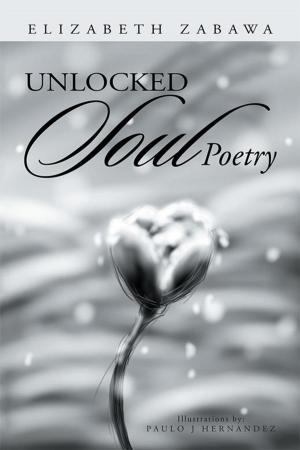 Cover of the book Unlocked Soul Poetry by Verba Lee Birge
