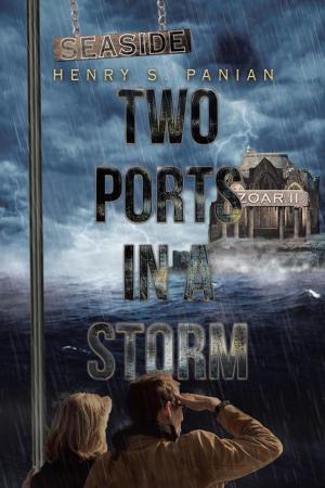 Cover of the book Two Ports in a Storm by Joanne Stampley