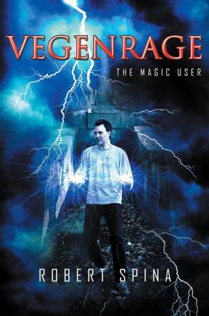 Cover of the book Vegenrage by Caleb Johnson