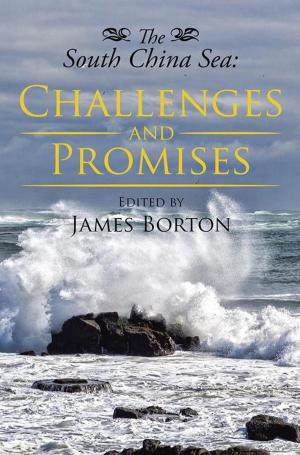 Book cover of The South China Sea: Challenges and Promises
