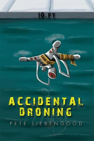 Cover of the book Accidental Droning by Eric Whitlock