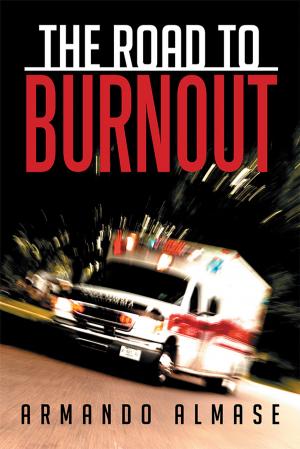 Cover of the book The Road to Burnout by Alan Lynn
