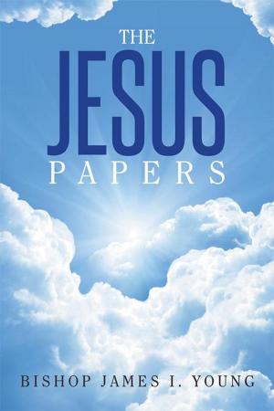 Cover of the book The Jesus Papers by Anne Brentar