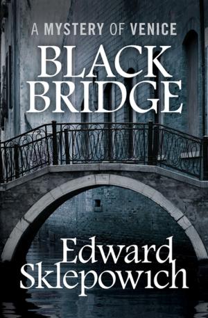Cover of the book Black Bridge by D L Richardson