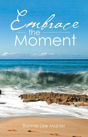 Book cover of Embrace the Moment
