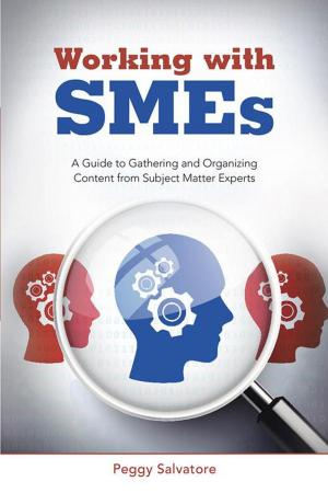Cover of the book Working with Smes by 