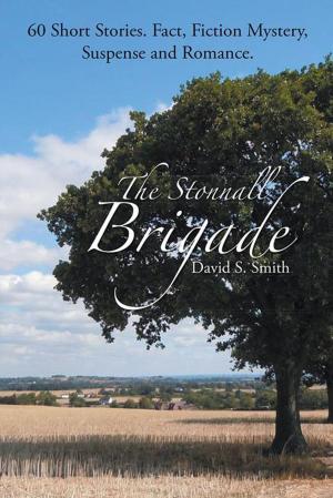 Cover of the book The Stonnall Brigade by Benjamin K. Tejevo