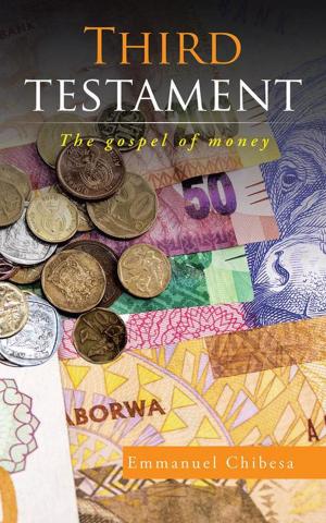 Cover of the book Third Testament by Corstiaan den Broeder