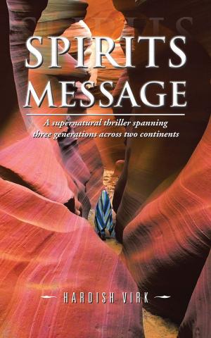 Cover of the book Spirits Message by H. W. Shutler