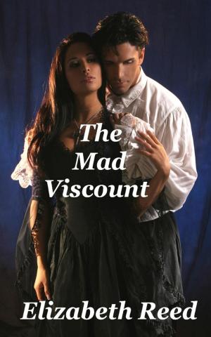 Cover of the book The Mad Viscount by Beth Hyland
