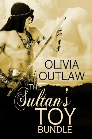 Book cover of The Sultan's Toy Boxed Set (Bundle)