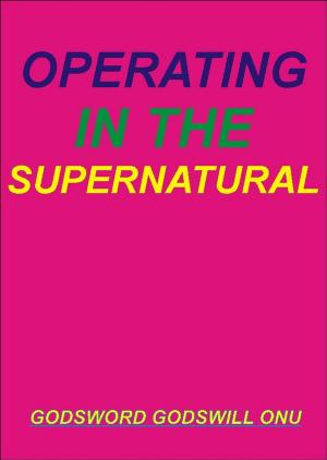 Cover of the book Operating In the Supernatural by Godsword Godswill Onu