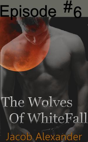 Cover of the book Episode 6: The Wolves of WhiteFall by TW Scott