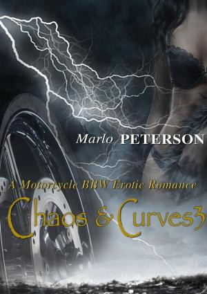 Cover of the book Chaos & Curves 3 (A Motorcycle BBW Erotic Romance) by Vanessa Robinson