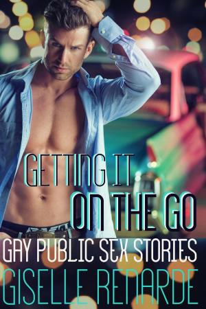 Book cover of Getting It On the Go: Gay Public Sex Stories