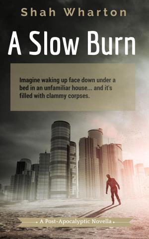 Cover of the book A Slow Burn: A Post-Apocalyptic Horror by Bruce Coville