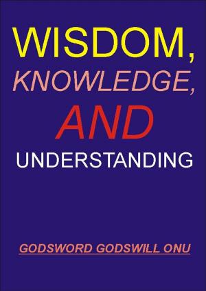 Cover of the book Wisdom, Knowledge, and Understanding by Godsword Godswill Onu