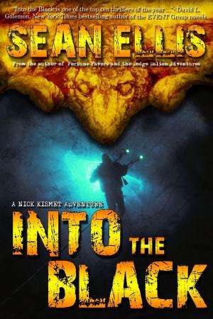 Cover of the book Into the Black by David Wood, Sean Ellis