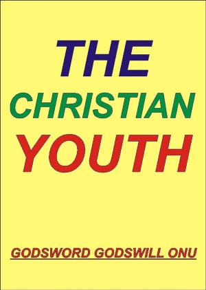 bigCover of the book The Christian Youth by 